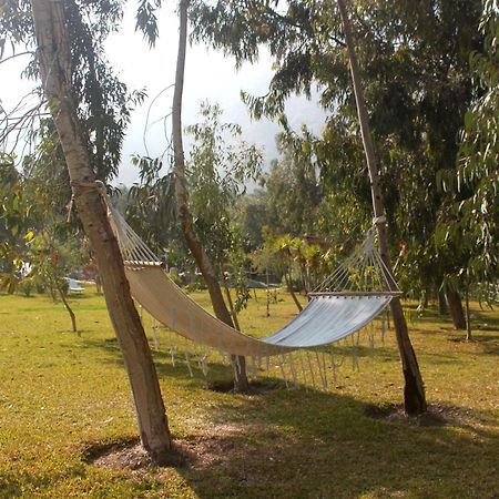 Hotel Los Palomos Lunahuaná エクステリア 写真