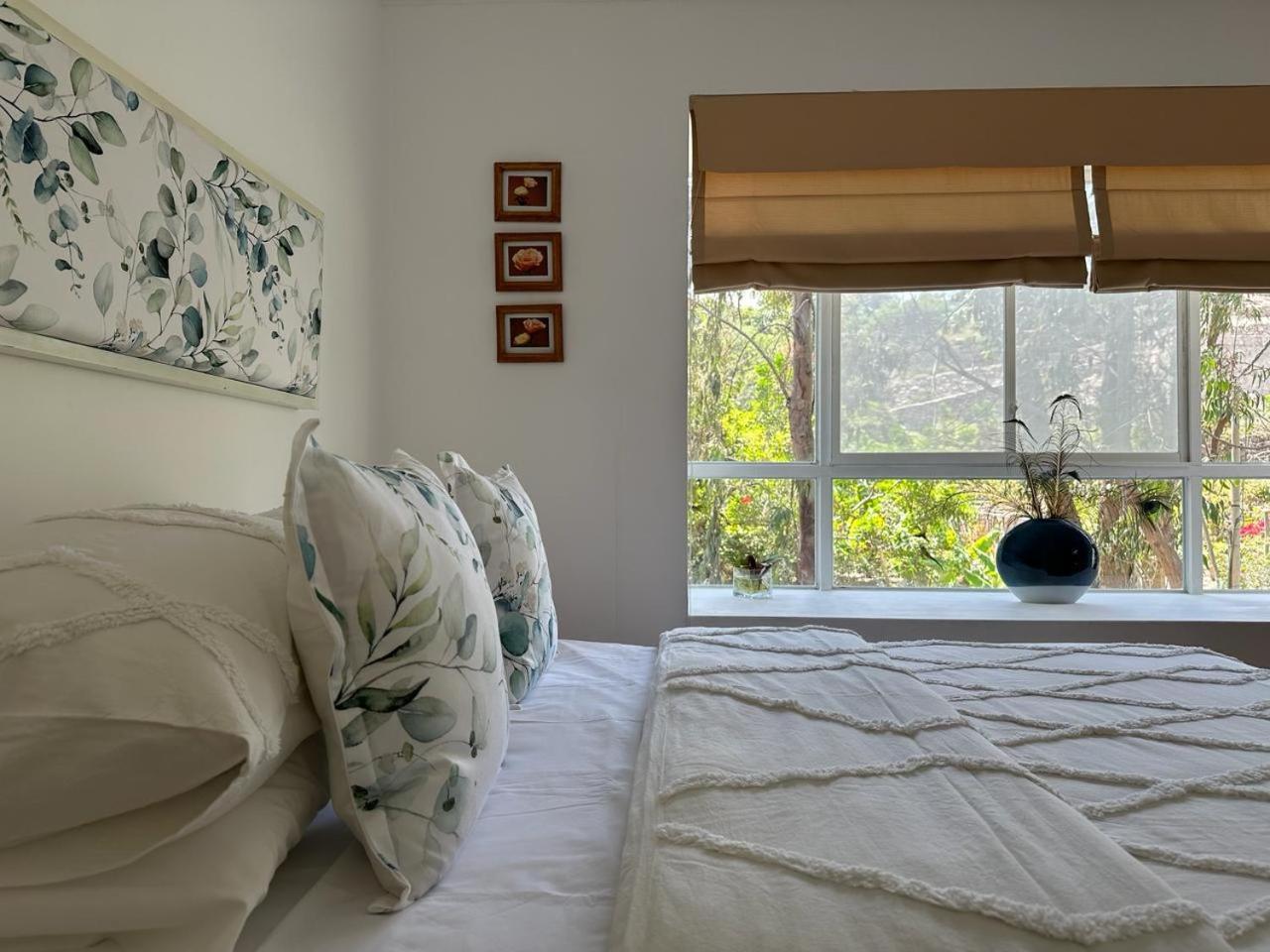 Hotel Los Palomos Lunahuaná エクステリア 写真
