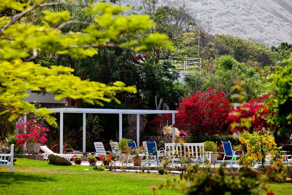 Hotel Los Palomos Lunahuaná エクステリア 写真