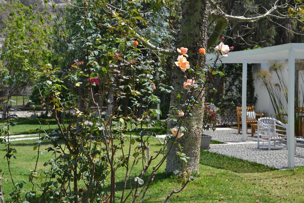 Hotel Los Palomos Lunahuaná エクステリア 写真